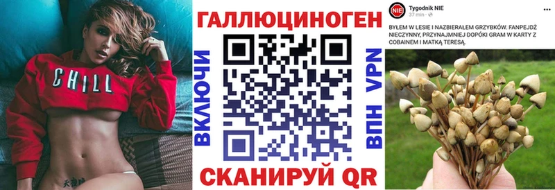 Купить  Котельнич  Галлюциногенные грибы MAGIC MUSHROOMS 